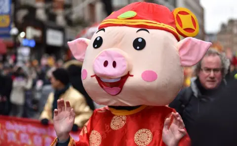 Getty Images Pig costume