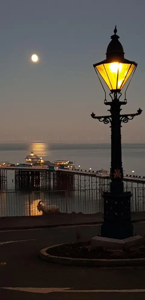 BBC Weather Watchers | stebarod Llandudno Pier in Conwy