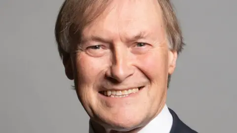 UK Parliament Sir David Amess