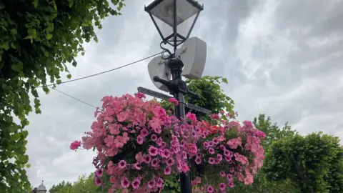 BBC Hanging basket at Salisbury's Guildhall Square with cascading pink flowers