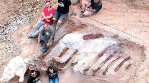 Africa's oldest dinosaur found in Zimbabwe - BBC News