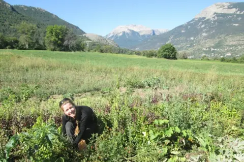 Dan Colegate Esther working in field on farm