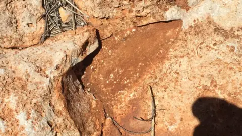 Wa government A clear imprint of the tooth in the spot where it was previously located