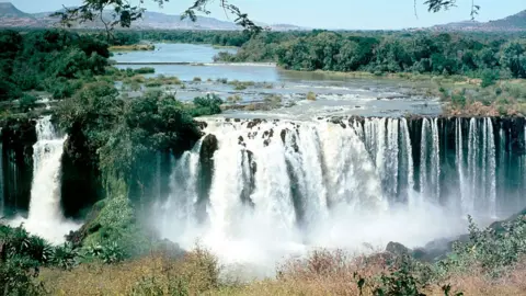 Getty Images The Blue Nile is largely responsible for the annual Nile floods in June to September, when runoff from the river's source in the Ethiopian highlands reaches its peak during the rainy season