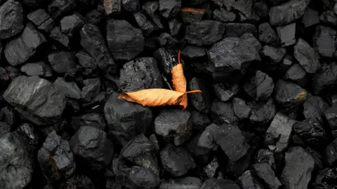 Reuters/Shannon Stapleton Coal