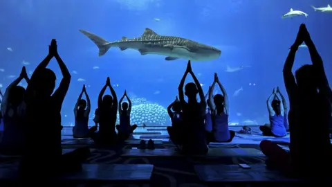 Women perform yoga at Zhuhai Chimelong Ocean Kingdom to celebrate Mother's Day on May 9, 2021 in Zhuhai, Guangdong Province of China.