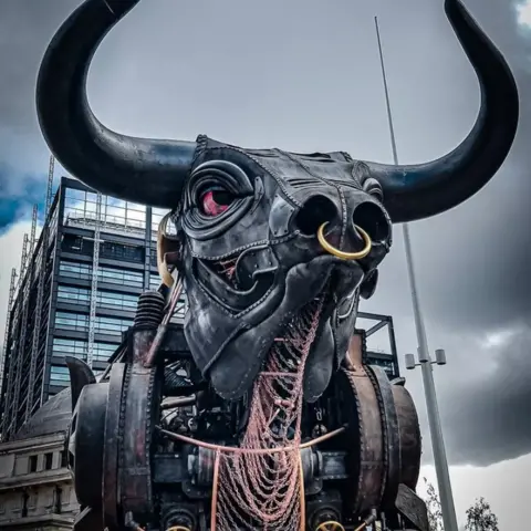 @ktung_photography Birmingham bull