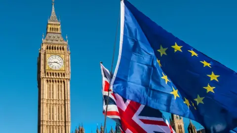 Getty Images Westminster