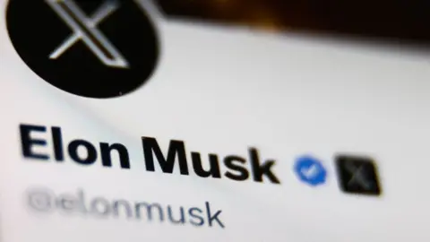 Getty Images Blue checkmark by Elon Musk's name on his Twitter account