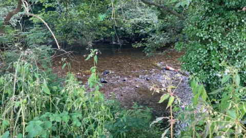 BBC The Ogmore River near Pandy Park