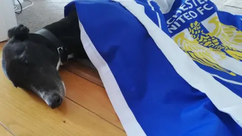 Priest Family Cilla the greyhound