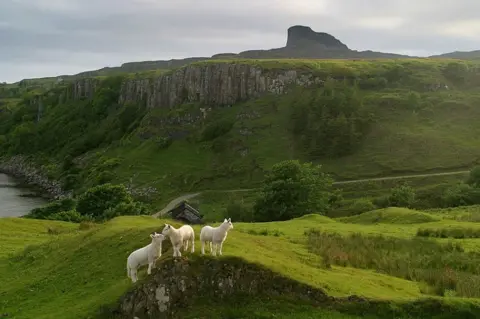 Getty Images Eigg