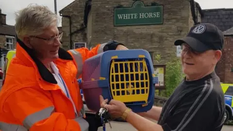 Animal Search UK Rescued cockatiel