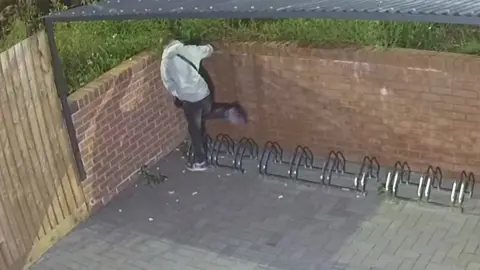 RSPCA Reegan Smith admitted inflicting "repeated trauma" on the pigeon