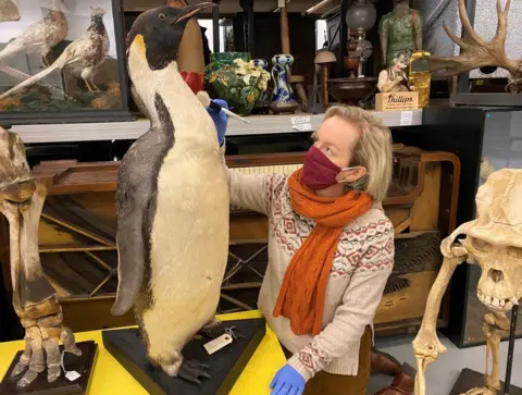 Leeds Museum Curator Clare Brown with the stuffed penguin