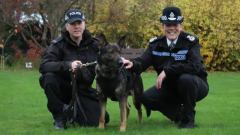 West Mercia Police Police dog with vest