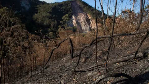 Brazil Photos deforestation