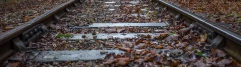 Getty Images Leaves on a train track