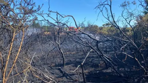 Hampshire & Isle of Wight Fire & Rescue Service burnt grass