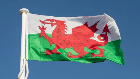 Welsh Flag