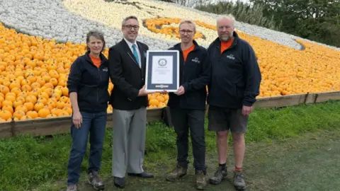 PA Media Sunnyfields Farm Pumpkin Mosaic