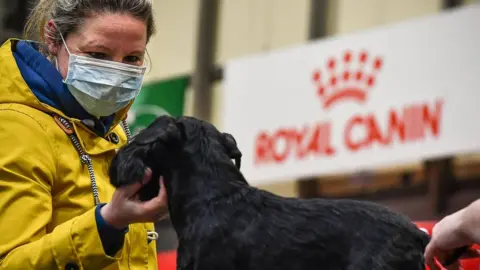 Getty Images A woman wears a facemask at Crufts