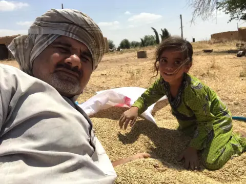 Abood Hamam Abood Hamam and a girl with some harvested barley
