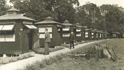 RPH TB huts c 1930