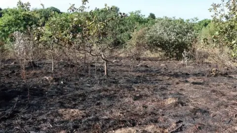 Hampshire Countryside Service Burnt countryside