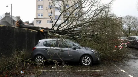 Car lying on tree