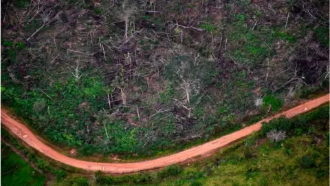 Getty Images deforestation at the Natural National Park in La Macarena, Meta Department, Colombia