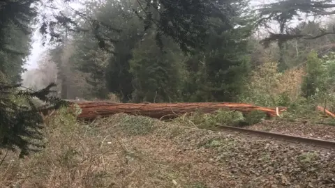 Network Rail A fallen tree blocked a railway line