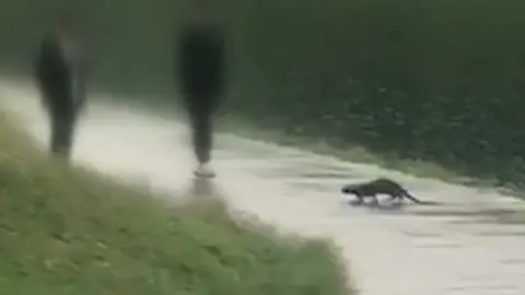 Hardy's Cycles Otter approaching two men