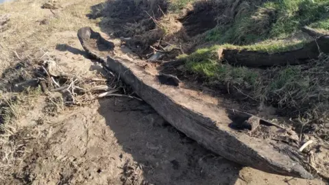 Eamon Logue Remains of logboat