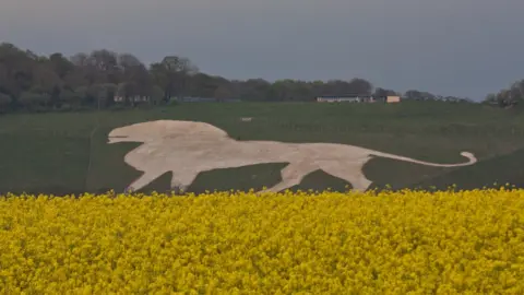 Getty Images The White Lion