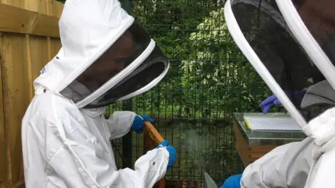 NEYDL Young dads in bee suits