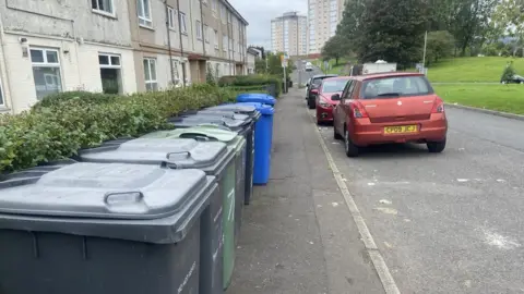 Onslow Road bins