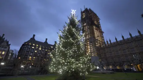 UK Parliament Christmas tree outside Parliament