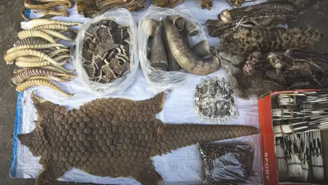 Getty Images Illegal wildlife trade in Myanmar