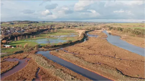 Rekord Media Otter estuary