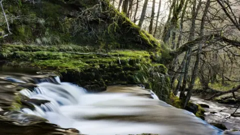 Donald McNaught The calm tranquillity of Pontneddfechan waterfalls in the Brecon Beacons National Park was captured on a walk by Donald McNaught