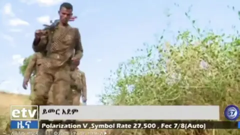 Reuters Troops marching