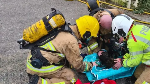 CFRS Cat rescue in Runcorn