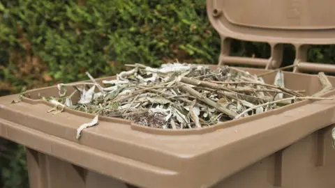 Getty Images brown bin waste