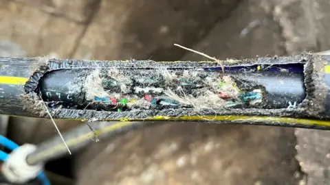 Openreach Chewed broadband cable