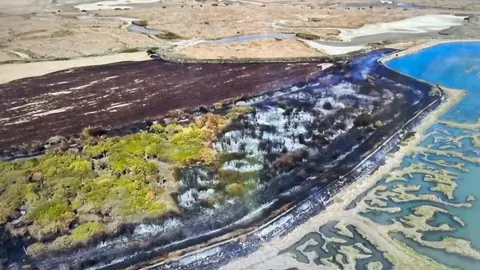 Aerial images show extent of damage to blackened grass and woodland