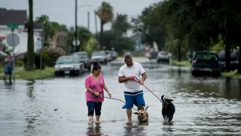 AFP People walk dogs through flooded streets as the effects of Hurricane Henry are seen August 26, 2017 in Galveston, Texas