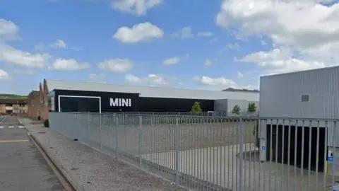 Google Oxford Mini Plant