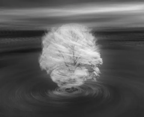 Thorsten Scheuermann A black and white long exposure photo of a tree