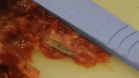 City of London Police Chip